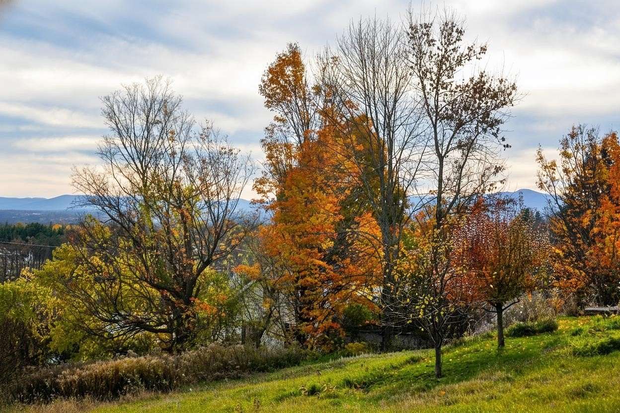 5 Acres of Residential Land for Sale in Charlotte, Vermont