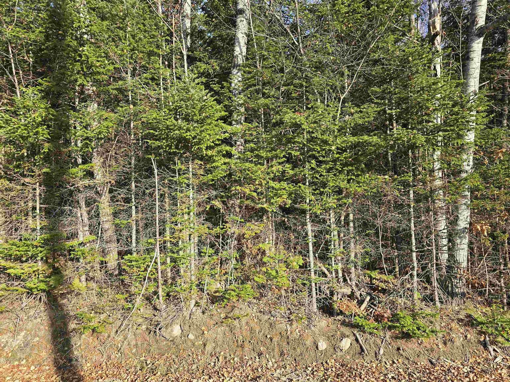 47 Acres of Recreational & Residential Land for Sale in Dummer, New Hampshire