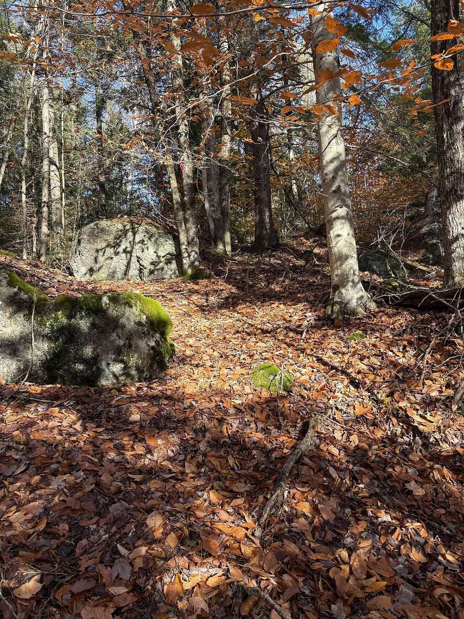 5.18 Acres of Land for Sale in Washington, New Hampshire