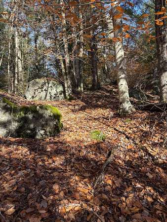 5.18 Acres of Land for Sale in Washington, New Hampshire
