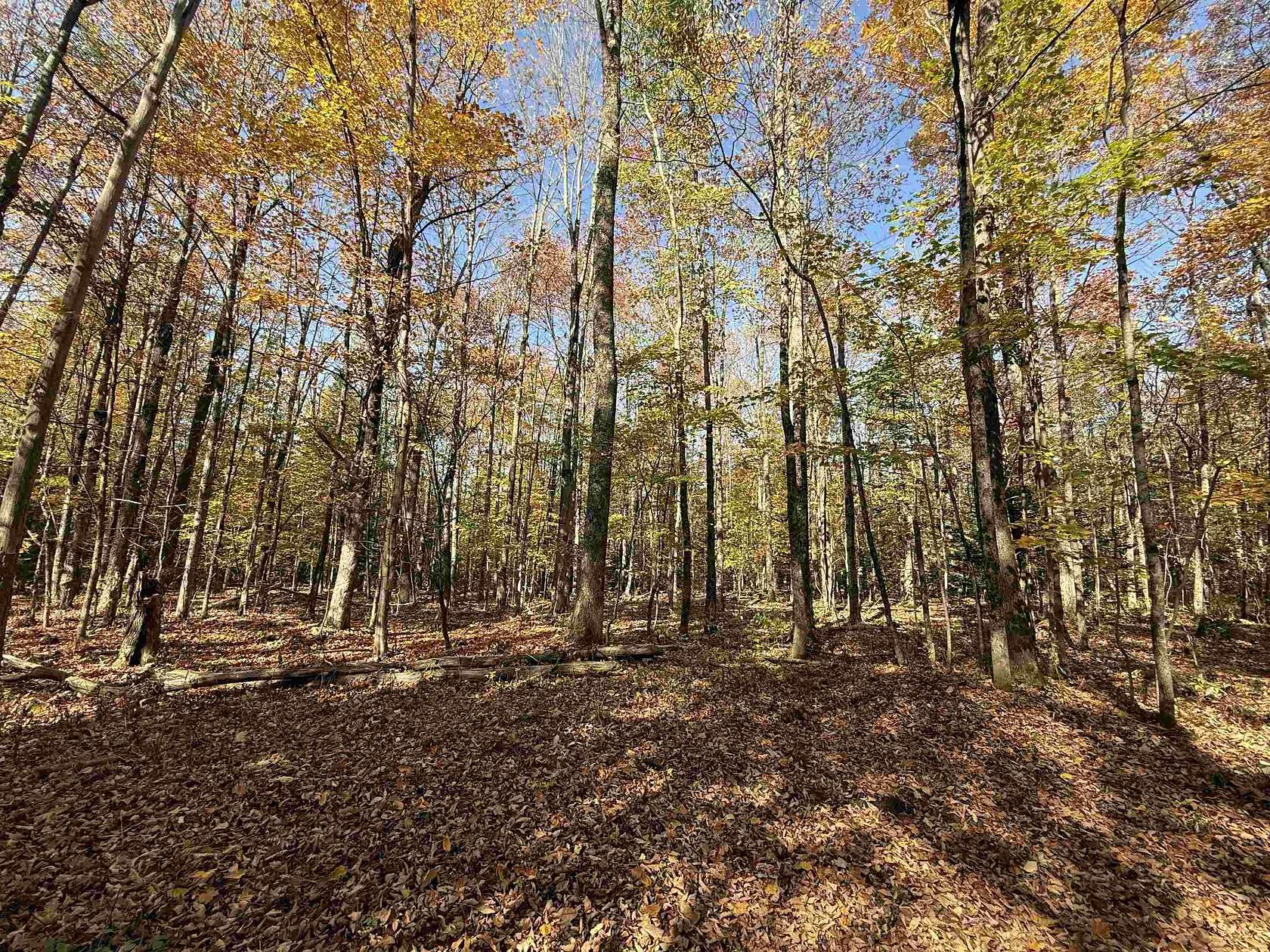 28.5 Acres of Recreational Land for Sale in Newport Town, Vermont