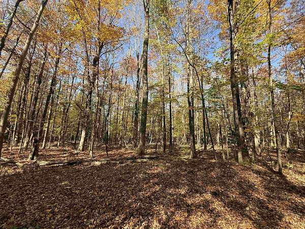 28.5 Acres of Recreational & Residential Land for Sale in Newport Town, Vermont