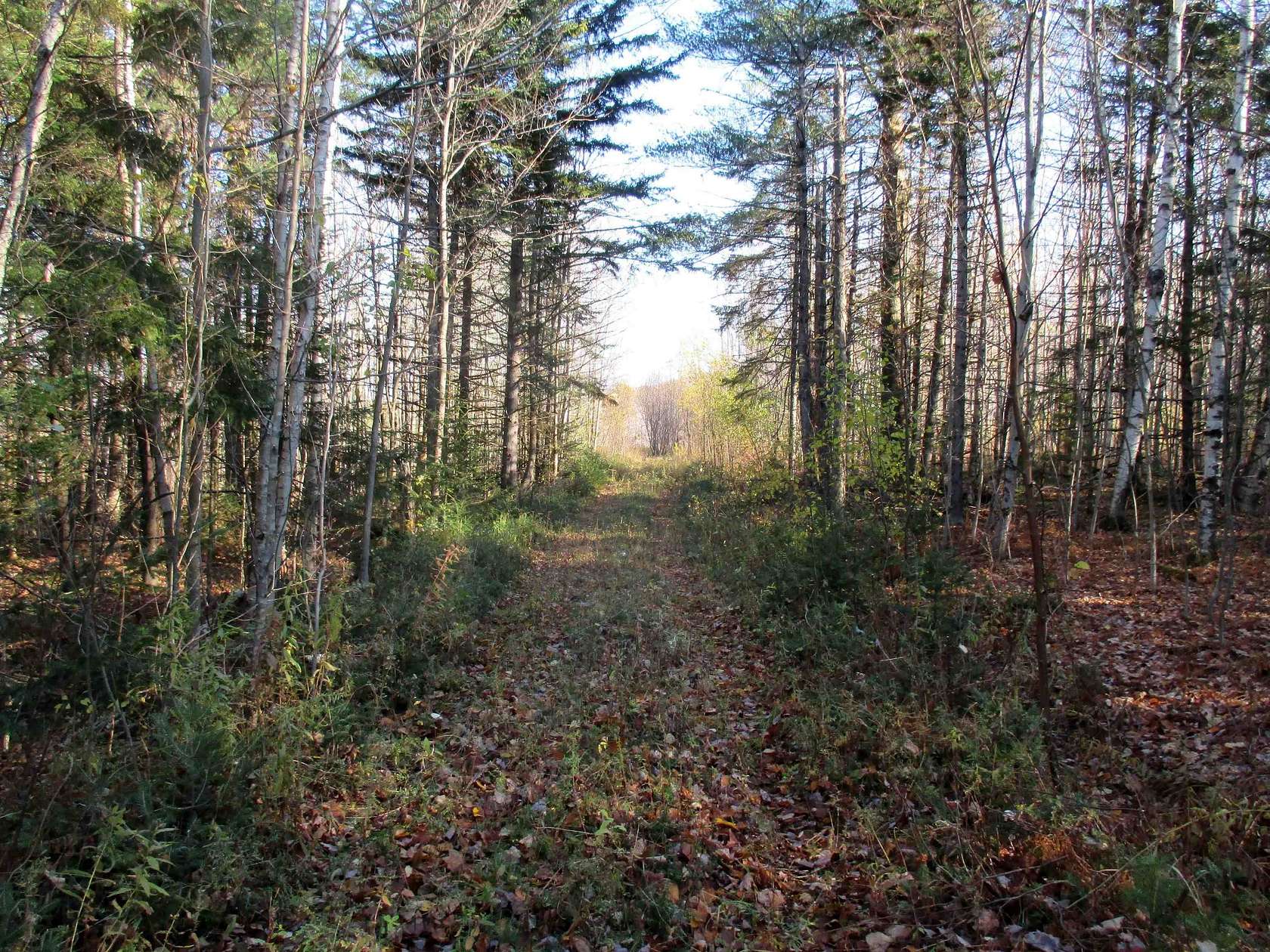 10 Acres of Residential Land for Sale in Lowell, Vermont