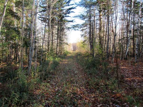10 Acres of Residential Land for Sale in Lowell, Vermont