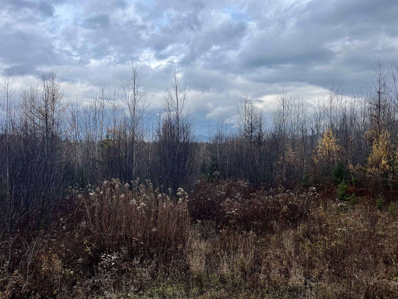 41.3 Acres of Recreational Land for Sale in Lancaster, New Hampshire