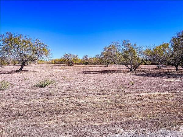 1 Acre of Land for Sale in Alice, Texas