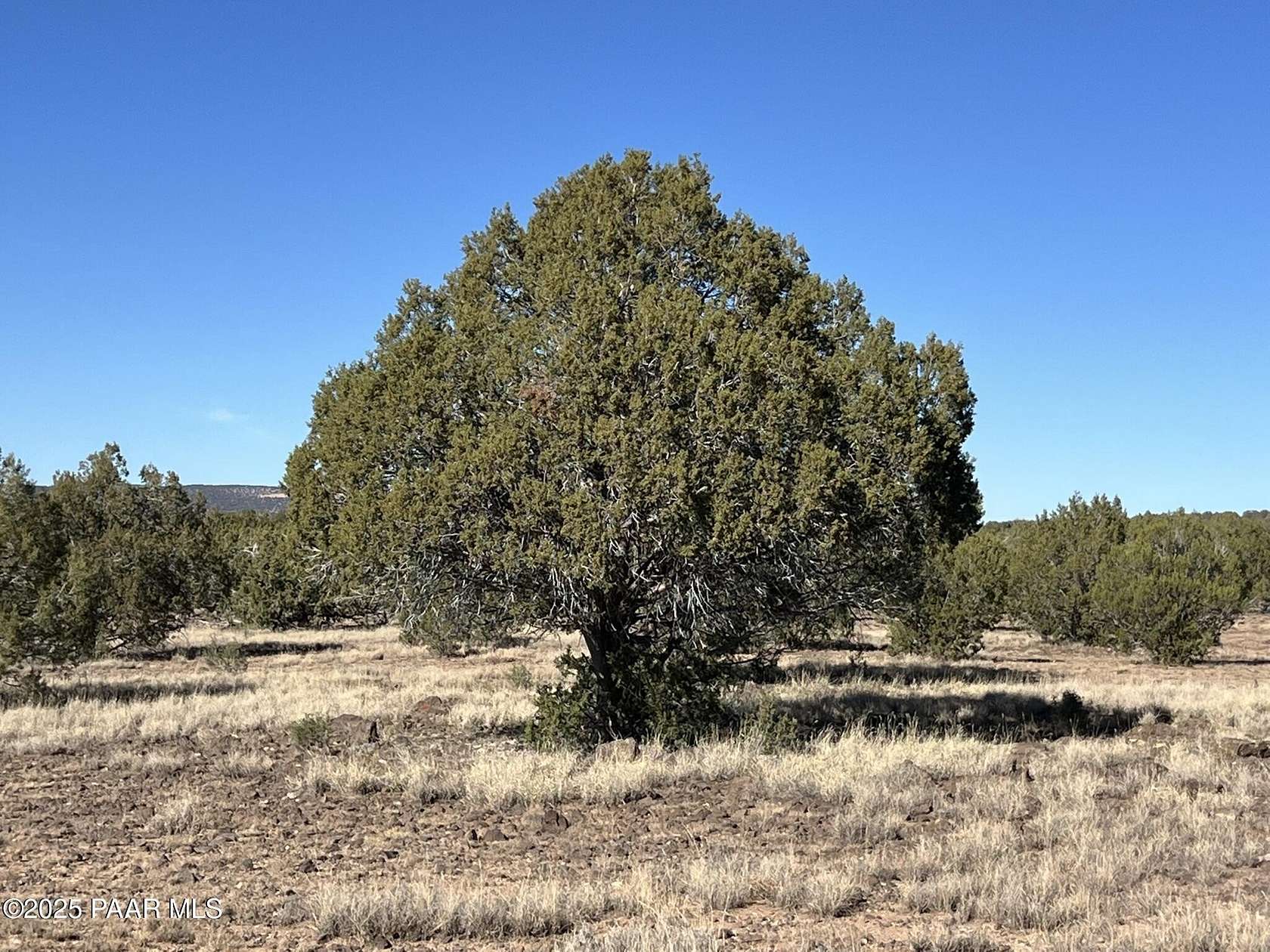 134 Acres of Recreational Land for Sale in Williams, Arizona