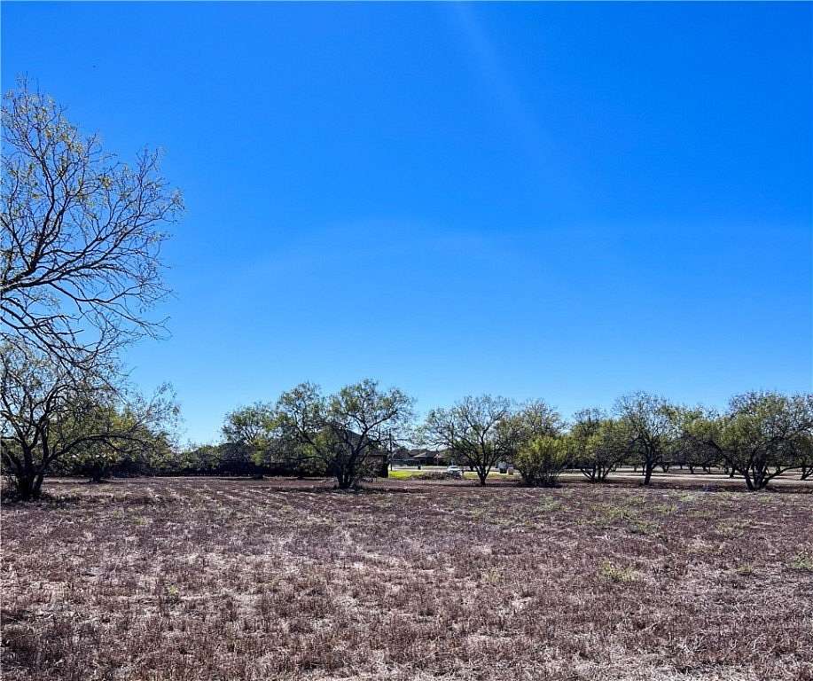 1 Acre of Residential Land for Sale in Alice, Texas