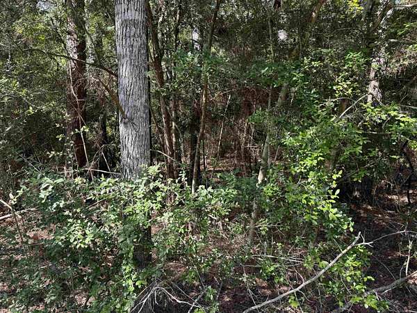 0.25 Acres of Land for Sale in Brookeland, Texas