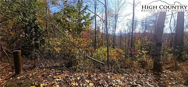 2 Acres of Residential Land for Sale in Elk Park, North Carolina