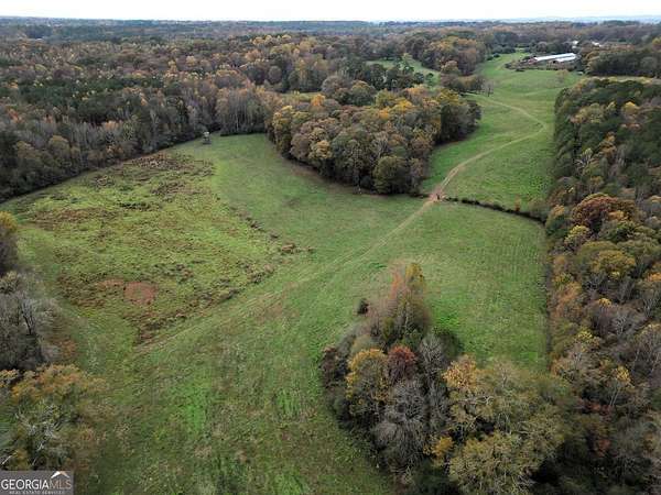 59.7 Acres of Agricultural Land for Sale in Bowdon, Georgia