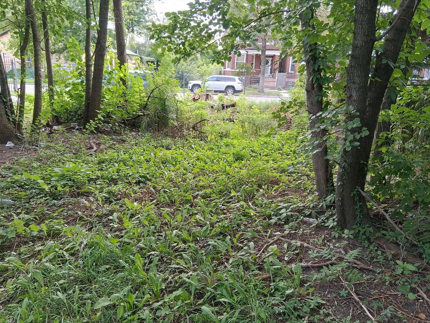 0.07 Acres of Residential Land for Sale in Chicago, Illinois