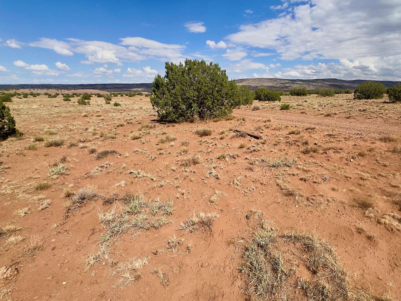 40 Acres of Recreational Land for Sale in Concho, Arizona