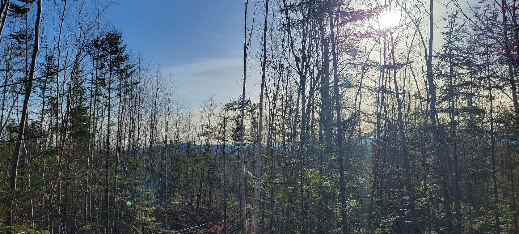 69 Acres of Recreational Land for Sale in Eastbrook, Maine