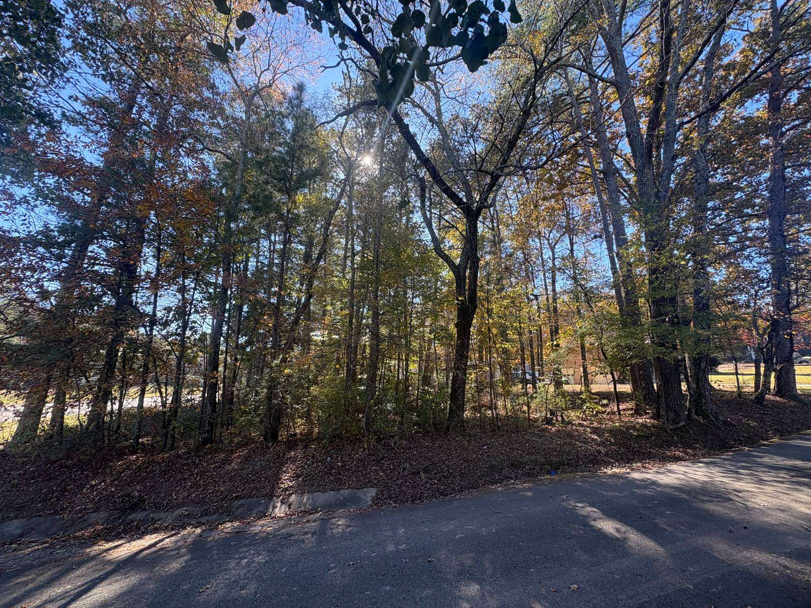 0.42 Acres of Residential Land for Sale in Pinson, Alabama