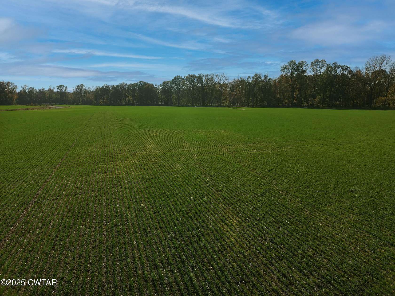 19.6 Acres of Land for Sale in Mercer, Tennessee