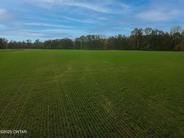 19.6 Acres of Land for Sale in Mercer, Tennessee