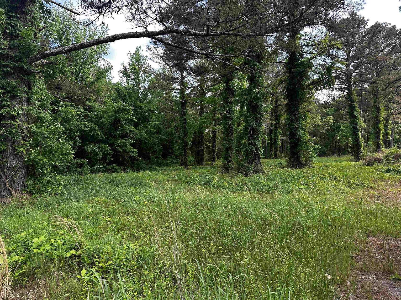 5.4 Acres of Residential Land for Sale in Michie, Tennessee