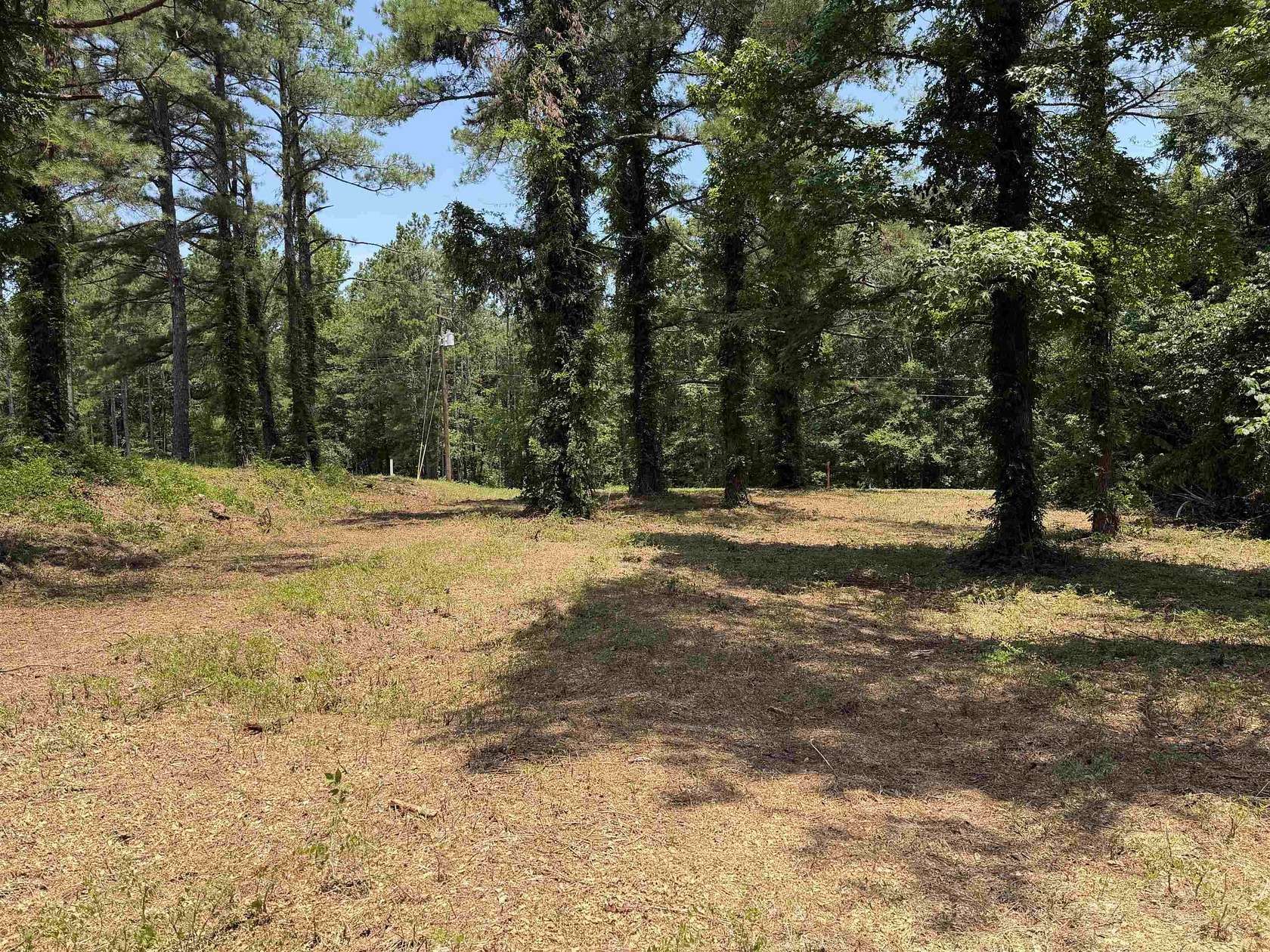 5.4 Acres of Residential Land for Sale in Michie, Tennessee