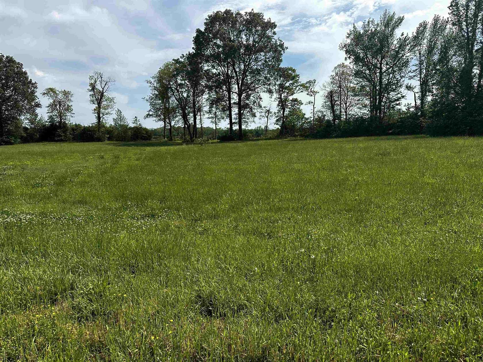 0.6 Acres of Land for Sale in Crump, Tennessee