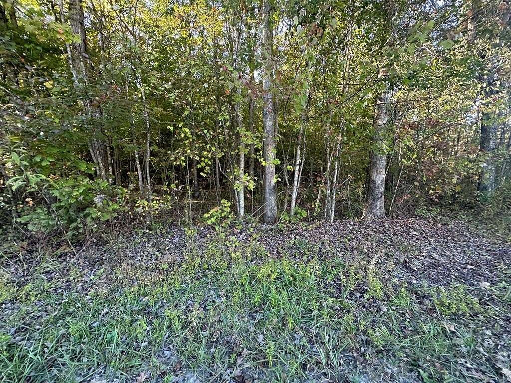 4.52 Acres of Residential Land for Sale in Jamestown, Tennessee