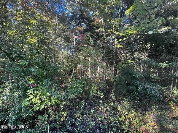4.52 Acres of Residential Land for Sale in Jamestown, Tennessee