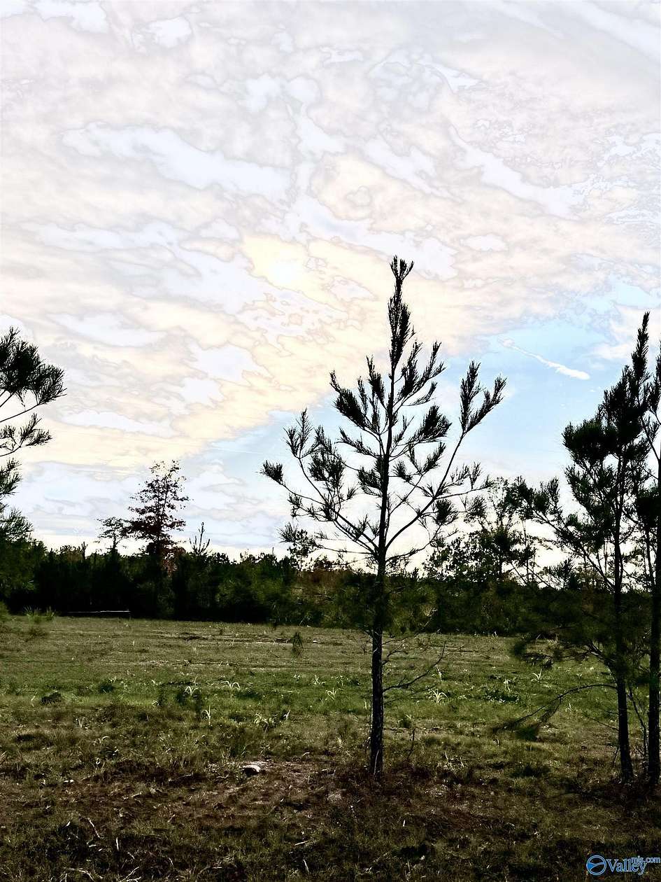 3.9 Acres of Residential Land for Sale in Piedmont, Alabama