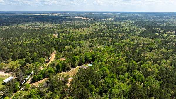 85 Acres of Recreational Land for Sale in Elkhart, Texas
