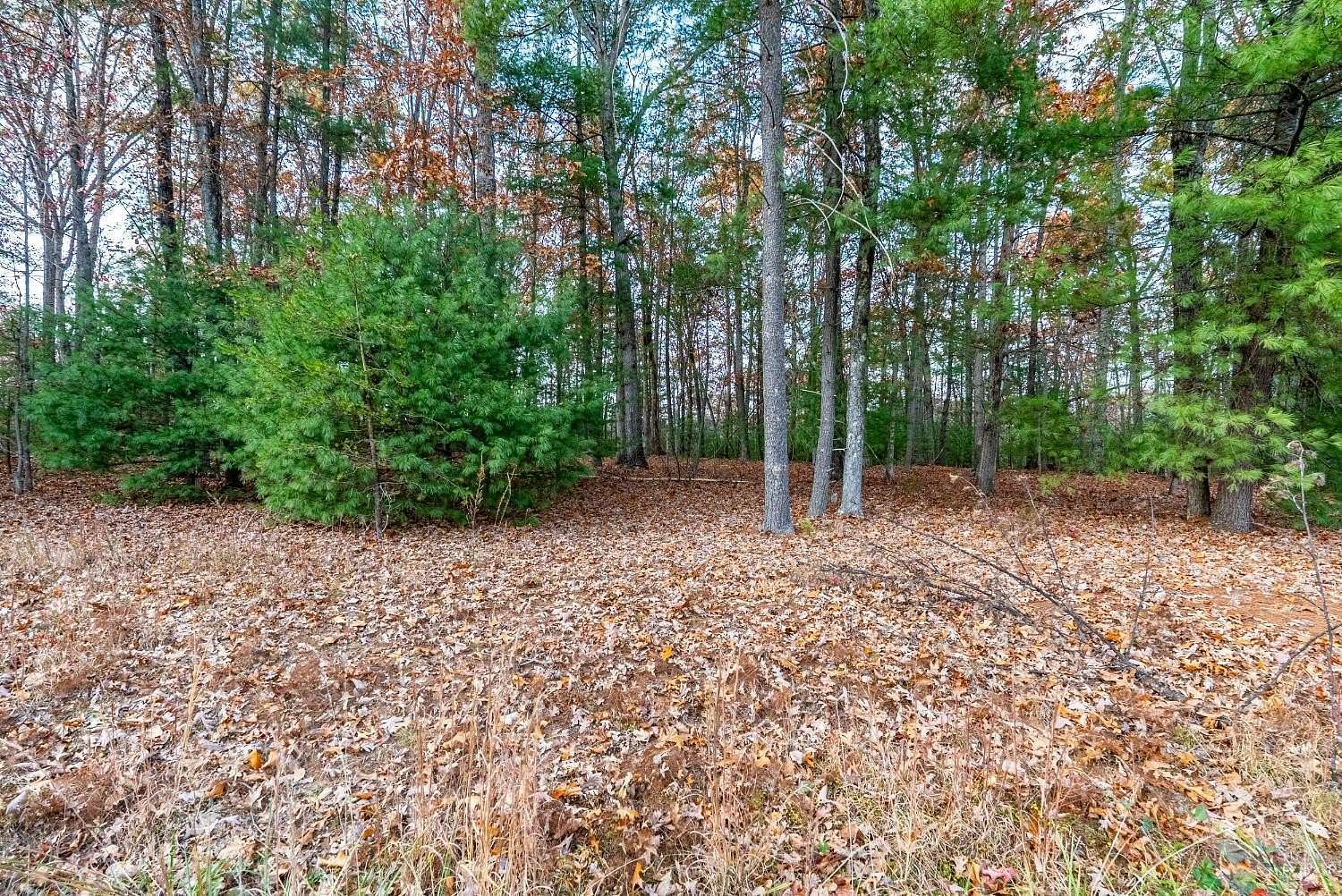 2.16 Acres of Residential Land for Sale in Monroe, Virginia