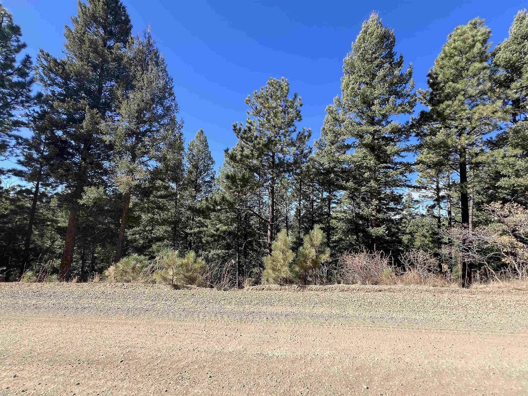 0.75 Acres of Residential Land for Sale in Angel Fire, New Mexico