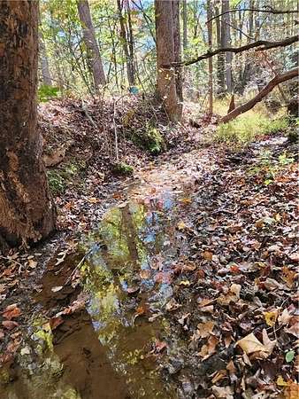 2.64 Acres of Residential Land for Sale in Blue Ridge, Georgia