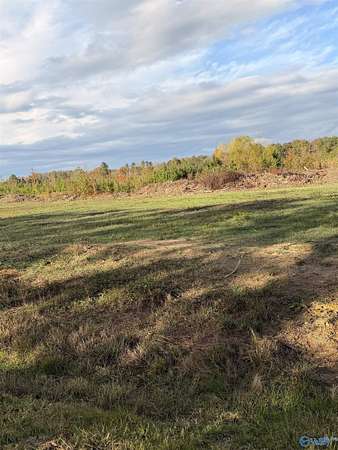 4.4 Acres of Residential Land for Sale in Piedmont, Alabama