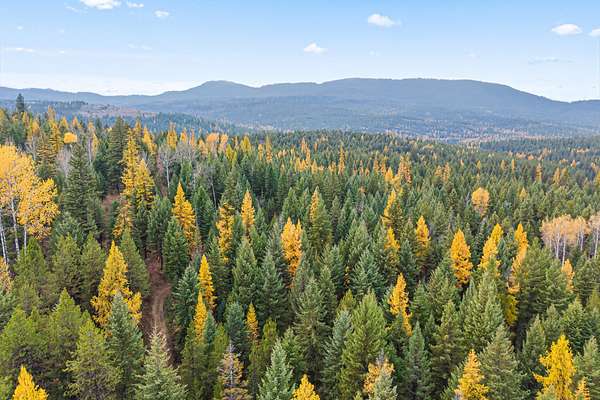 57.3 Acres of Recreational Land for Sale in Colville, Washington