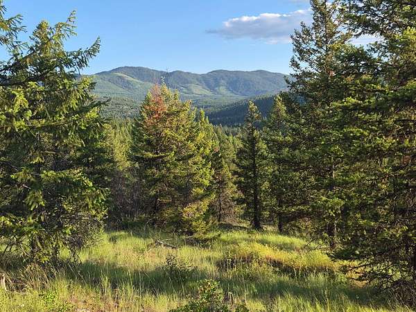 57.3 Acres of Recreational & Residential Land for Sale in Colville, Washington