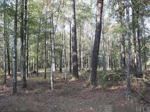 34.3 Acres of Mixed-Use Land for Sale in Holden, Louisiana