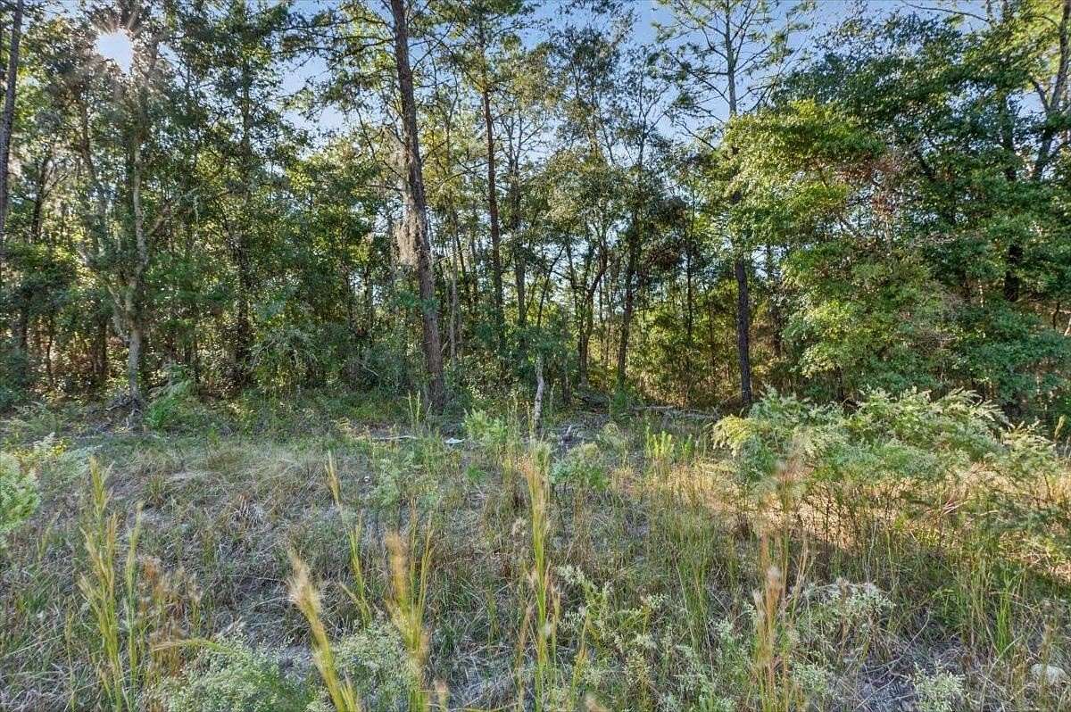 0.22 Acres of Residential Land for Sale in Interlachen, Florida