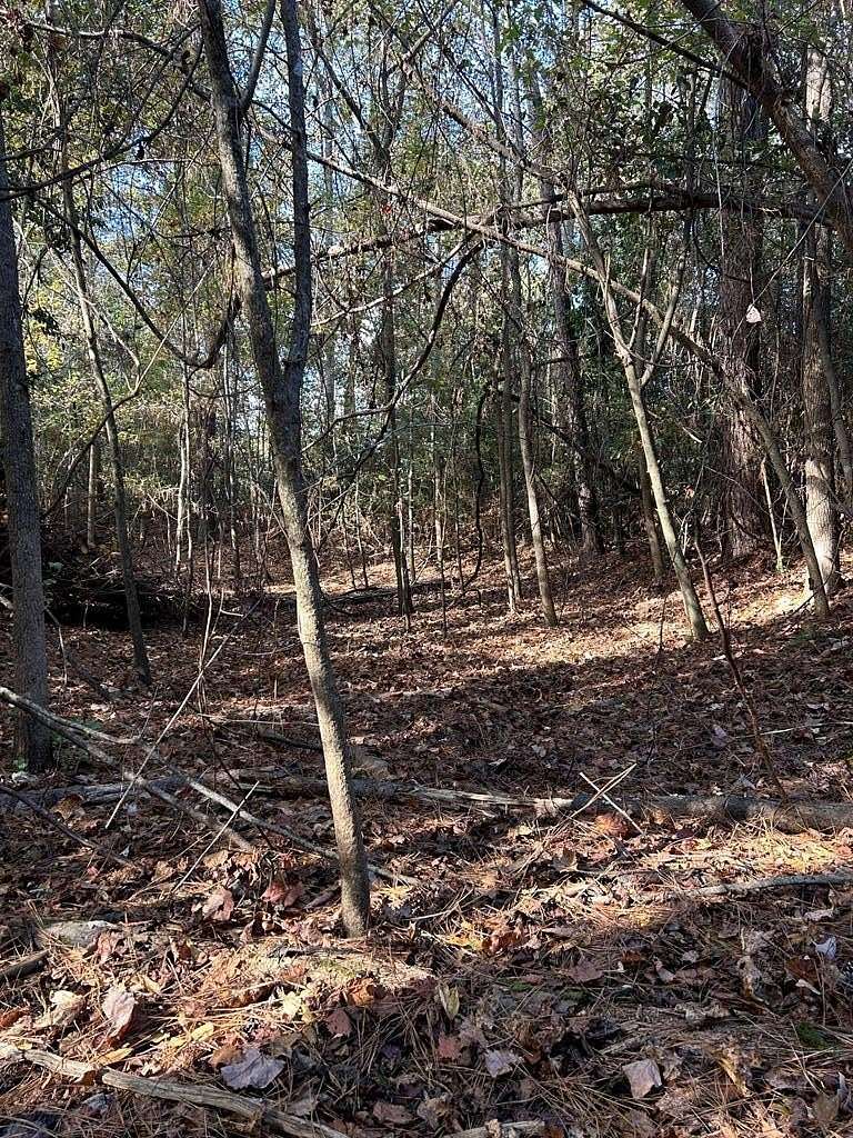 2.1 Acres of Residential Land for Sale in Blakely, Georgia