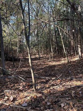 2.1 Acres of Residential Land for Sale in Blakely, Georgia