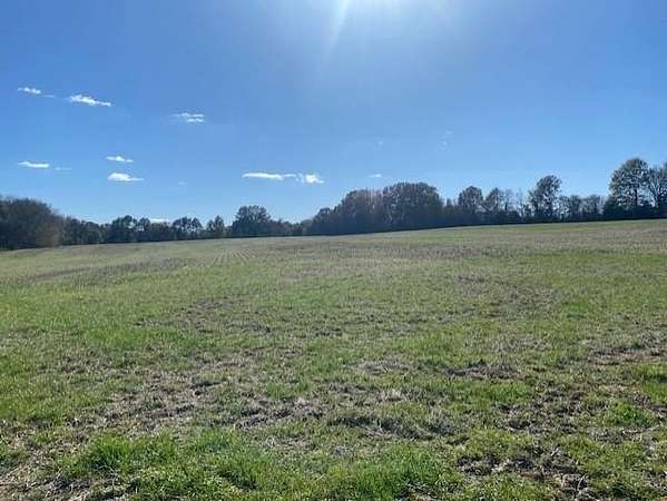 22 Acres of Agricultural Land for Sale in Coldwater, Mississippi