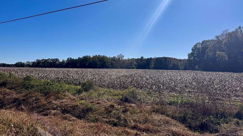 92.6 Acres of Recreational Land for Sale in Slocomb, Alabama