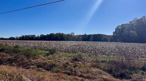 92.6 Acres of Recreational Land for Sale in Slocomb, Alabama