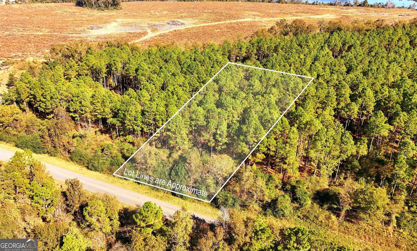 1.1 Acres of Residential Land for Sale in Chester, Georgia