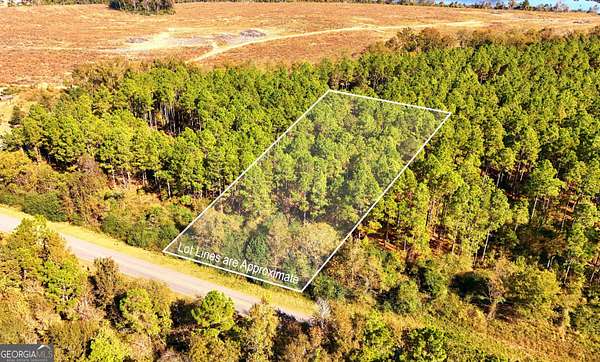 1.1 Acres of Residential Land for Sale in Chester, Georgia