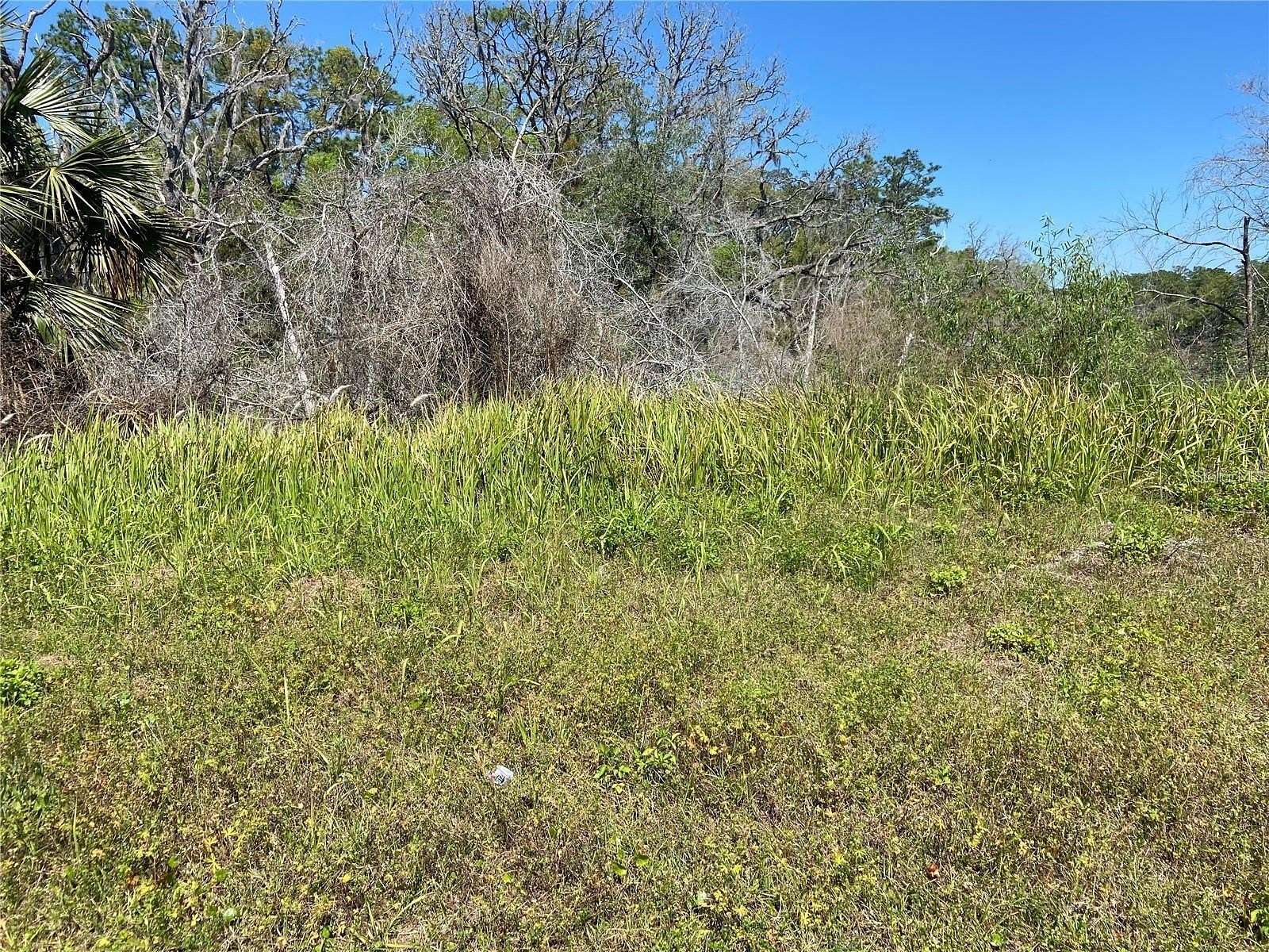 2.5 Acres of Land for Sale in De Leon Springs, Florida