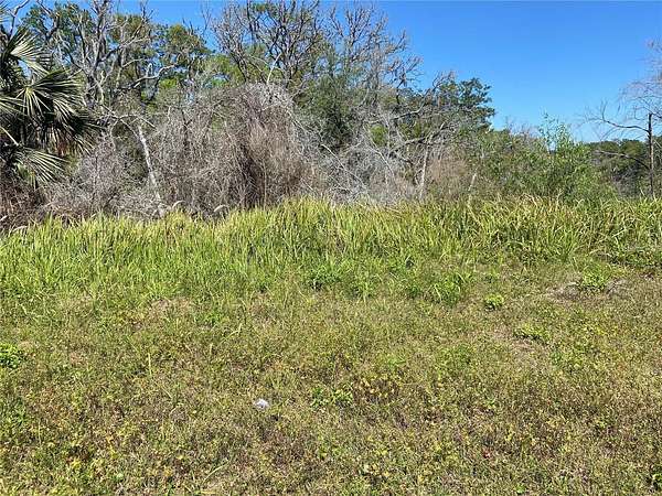 2.5 Acres of Land for Sale in De Leon Springs, Florida