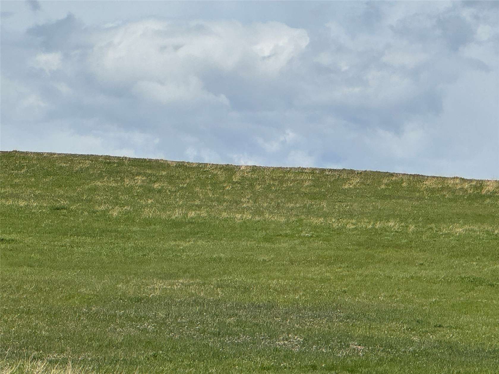 20.7 Acres of Recreational Land for Sale in Belt, Montana