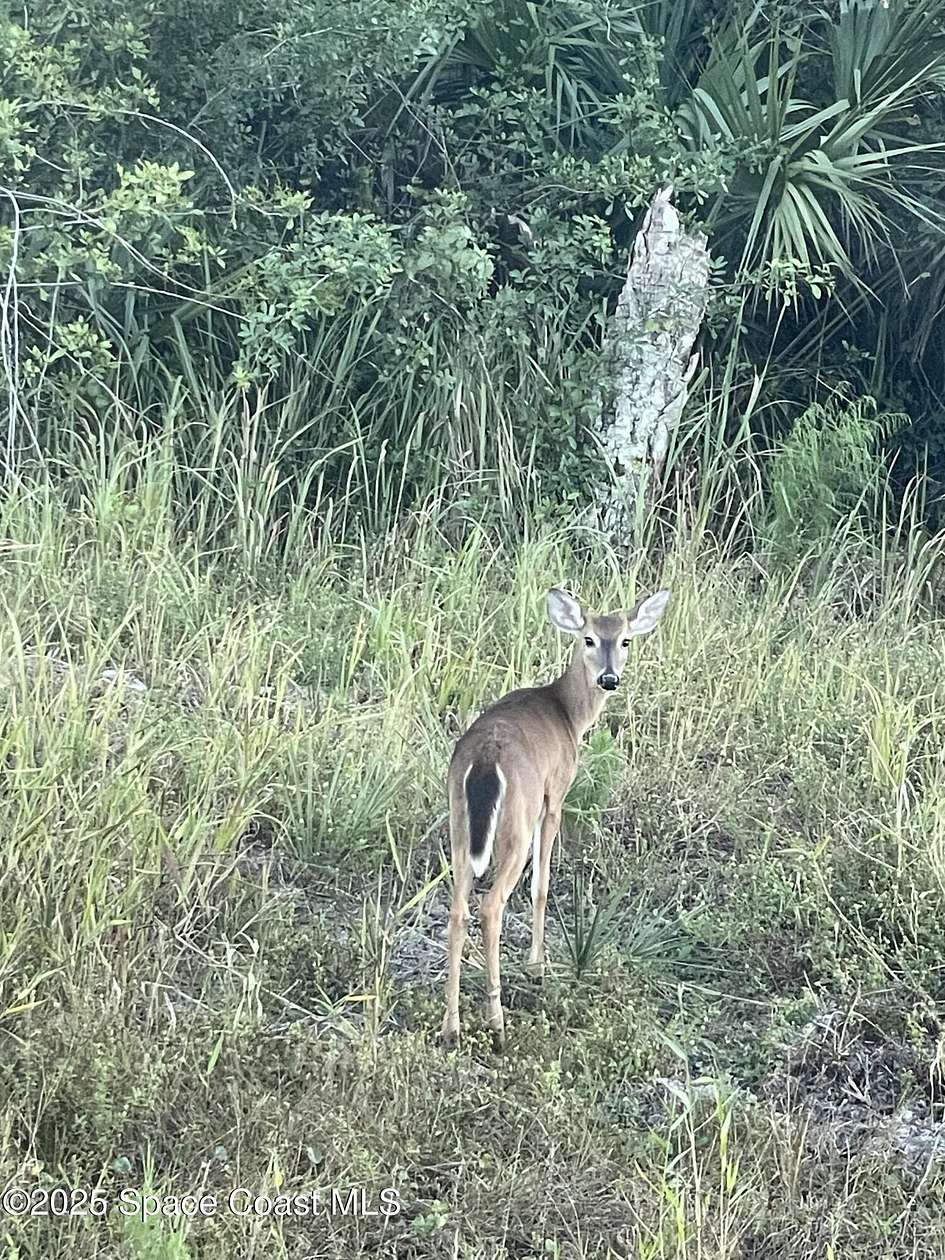 2.53 Acres of Land for Sale in Palm Bay, Florida