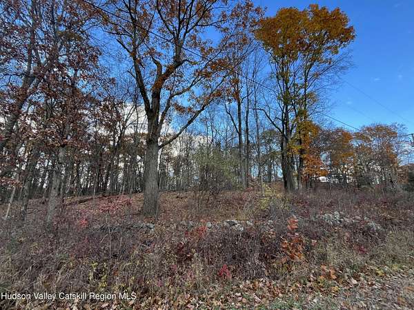 13.7 Acres of Land for Sale in Milan, New York