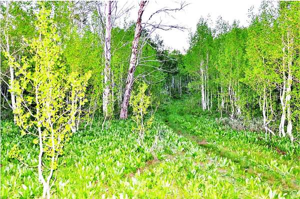 163 Acres of Recreational Land for Sale in Huntsville, Utah