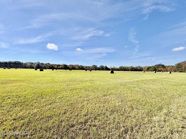 84 Acres of Land for Sale in Durant, Mississippi